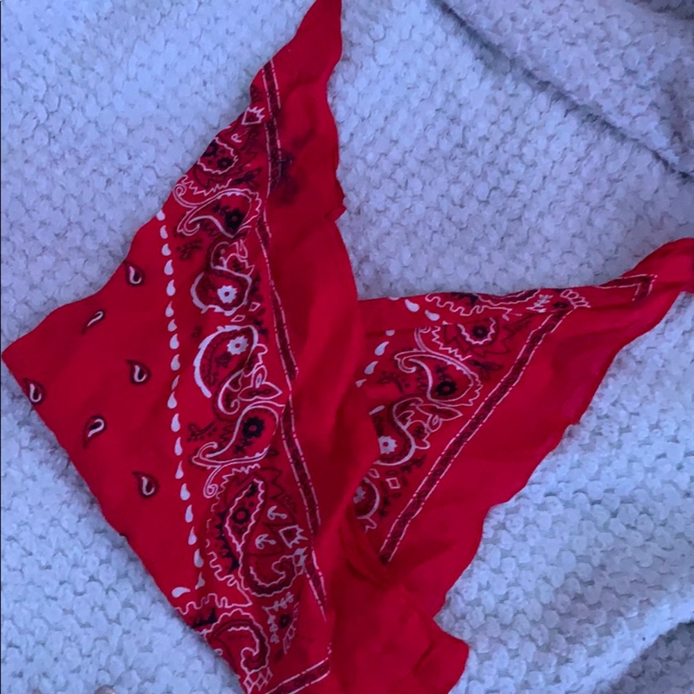 Bandanna - Picture 2 of 3